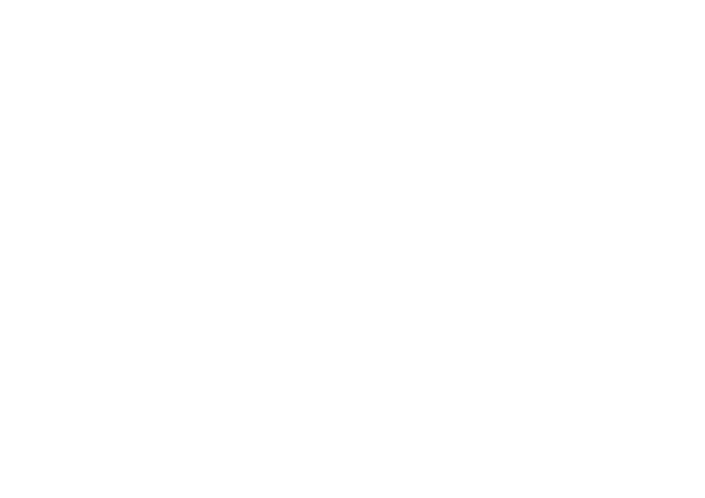 ViREM, LLC